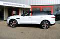 Jaguar F-Pace 2.0t AWD 250pk Premium Edition Aut. Pano|Leder|Cam Weiß - thumbnail 46