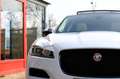 Jaguar F-Pace 2.0t AWD 250pk Premium Edition Aut. Pano|Leder|Cam Weiß - thumbnail 36