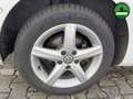 Volkswagen Golf VII Var. 1.4 TSI Highline BI-XEN NAV PDC LM Weiß - thumbnail 14