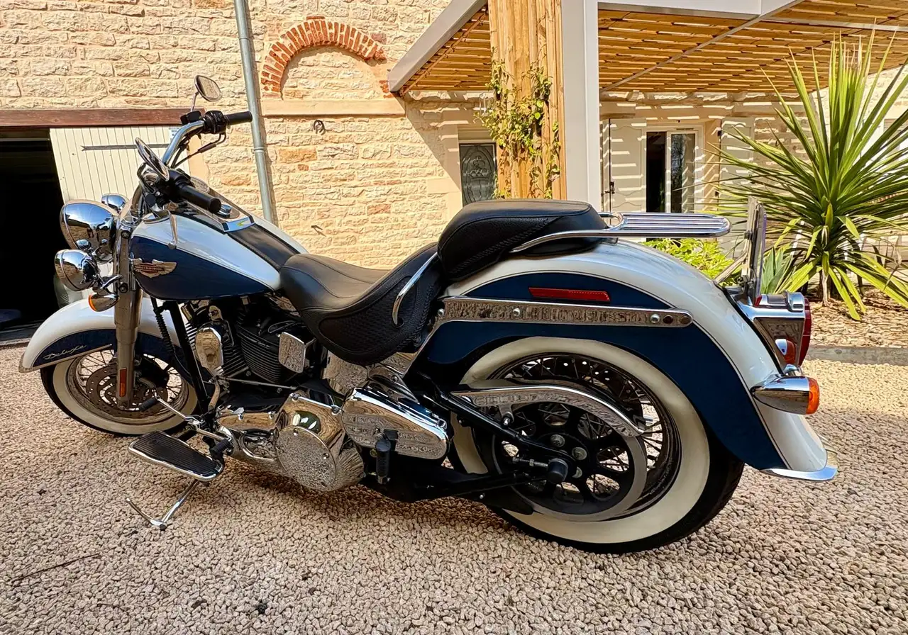 Harley-Davidson Softail