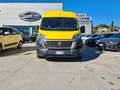 Fiat Ducato 2.3 MTJ 120CV PLM-TM+IVA Giallo - thumbnail 1