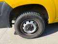 Fiat Ducato 2.3 MTJ 120CV PLM-TM+IVA Giallo - thumbnail 11