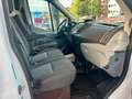 Ford Transit Kasten 350 L3 H3 Trend, aus 1. Hand Blanco - thumbnail 17