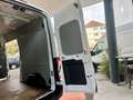 Ford Transit Kasten 350 L3 H3 Trend, aus 1. Hand Blanco - thumbnail 22