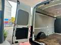 Ford Transit Kasten 350 L3 H3 Trend, aus 1. Hand Blanco - thumbnail 23
