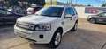 Land Rover Freelander 2.2SD4 SE Aut. 4x4 Blanco - thumbnail 1