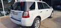 Land Rover Freelander 2.2SD4 SE Aut. 4x4 Blanco - thumbnail 6