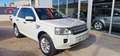 Land Rover Freelander 2.2SD4 SE Aut. 4x4 Blanco - thumbnail 2