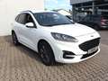 Ford Kuga Plug-In Hybrid ST-Line X 2,5 Duratec Weiß - thumbnail 7