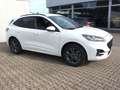 Ford Kuga Plug-In Hybrid ST-Line X 2,5 Duratec Weiß - thumbnail 10