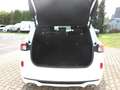 Ford Kuga Plug-In Hybrid ST-Line X 2,5 Duratec Weiß - thumbnail 19