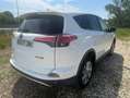 Toyota RAV 4 150D Advance 2WD Blanco - thumbnail 23