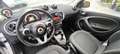 smart forFour 70CV PASSION PANORAMA CRUISE LED Blanc - thumbnail 4