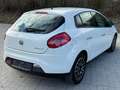 Fiat Bravo 1.4 Turbo *Top Zustand* *Pickerl + Service NEU* Weiß - thumbnail 8