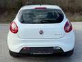 Fiat Bravo 1.4 Turbo *Top Zustand* *Pickerl + Service NEU* Weiß - thumbnail 6