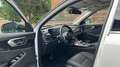BAIC Beijing X75 1,5L T-GDI/Sitzbelüftung/Massagesitze/360° Alb - thumbnail 8