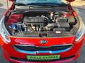 Kia Ceed / cee'd 1.4 Edition FACELIFT / SHZ+GRA+CAM Rot - thumbnail 19