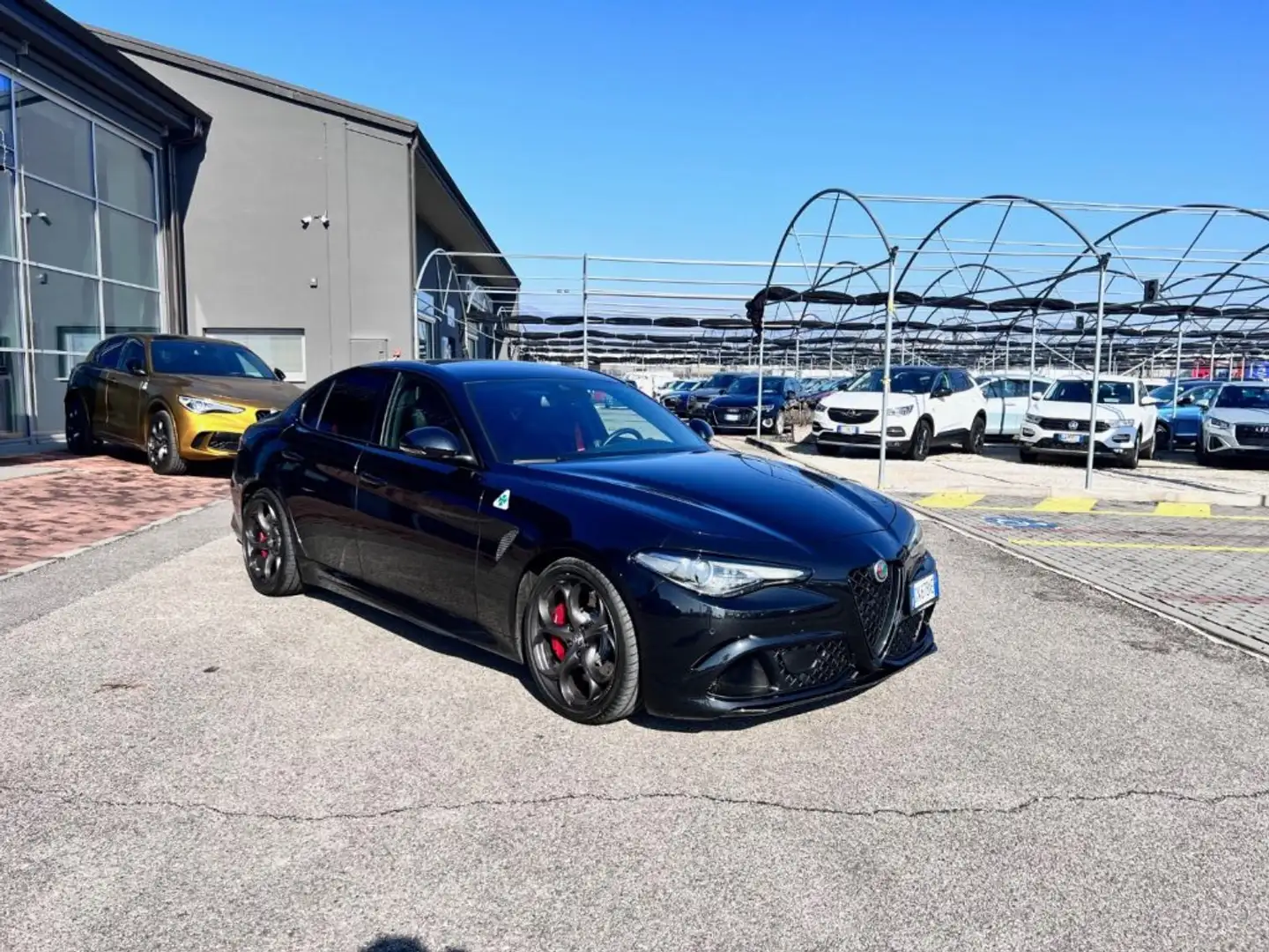 Alfa Romeo Giulia 2.9 T V6 AT8 Quadrifoglio Nero - 2