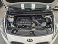 Kia Carens Carens IV 2013 1.7 crdi Class 115cv 5pti Bianco - thumbnail 2