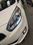 Kia Carens Carens IV 2013 1.7 crdi Class 115cv 5pti Bianco - thumbnail 3