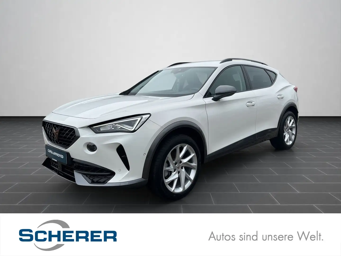 CUPRA Formentor 1,5 TSI RFK/LED/Sizuheizung/PDC/u.v.m. Weiß - 1
