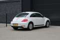 Volkswagen Beetle 1.2 TSI Design | NWE KETTING | LEDER | STOELVERWAR Wit - thumbnail 38