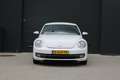 Volkswagen Beetle 1.2 TSI Design | NWE KETTING | LEDER | STOELVERWAR Wit - thumbnail 11