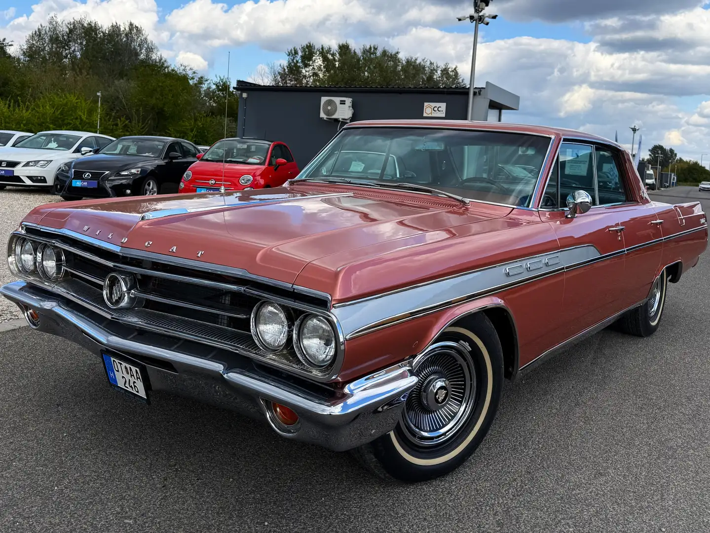 Buick Sonstige Wildcat 6750 Bronze - 1