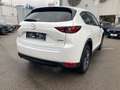 Mazda CX-5 /G194/AWD/AT/100Years 100 Years Wit - thumbnail 11