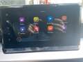 SEAT Ibiza FR Navi, CarPlay Gris - thumbnail 12