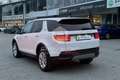 Land Rover Discovery Sport Discovery Sport 2.0D I4-L.Flw 150 CV AWD Auto Fehér - thumbnail 7
