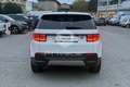 Land Rover Discovery Sport Discovery Sport 2.0D I4-L.Flw 150 CV AWD Auto Fehér - thumbnail 6