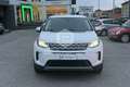 Land Rover Discovery Sport Discovery Sport 2.0D I4-L.Flw 150 CV AWD Auto Fehér - thumbnail 2