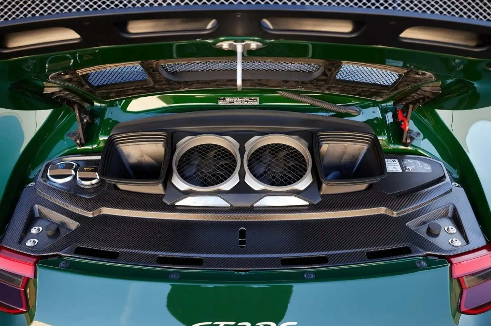 Porsche 991 3.8i GT2 RS auto Coupe Зелений - 2