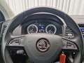 Skoda Karoq 2,0 TDI 4x4 2xKlima ACC Kam. KlimaA PDC SHZ Weiß - thumbnail 16