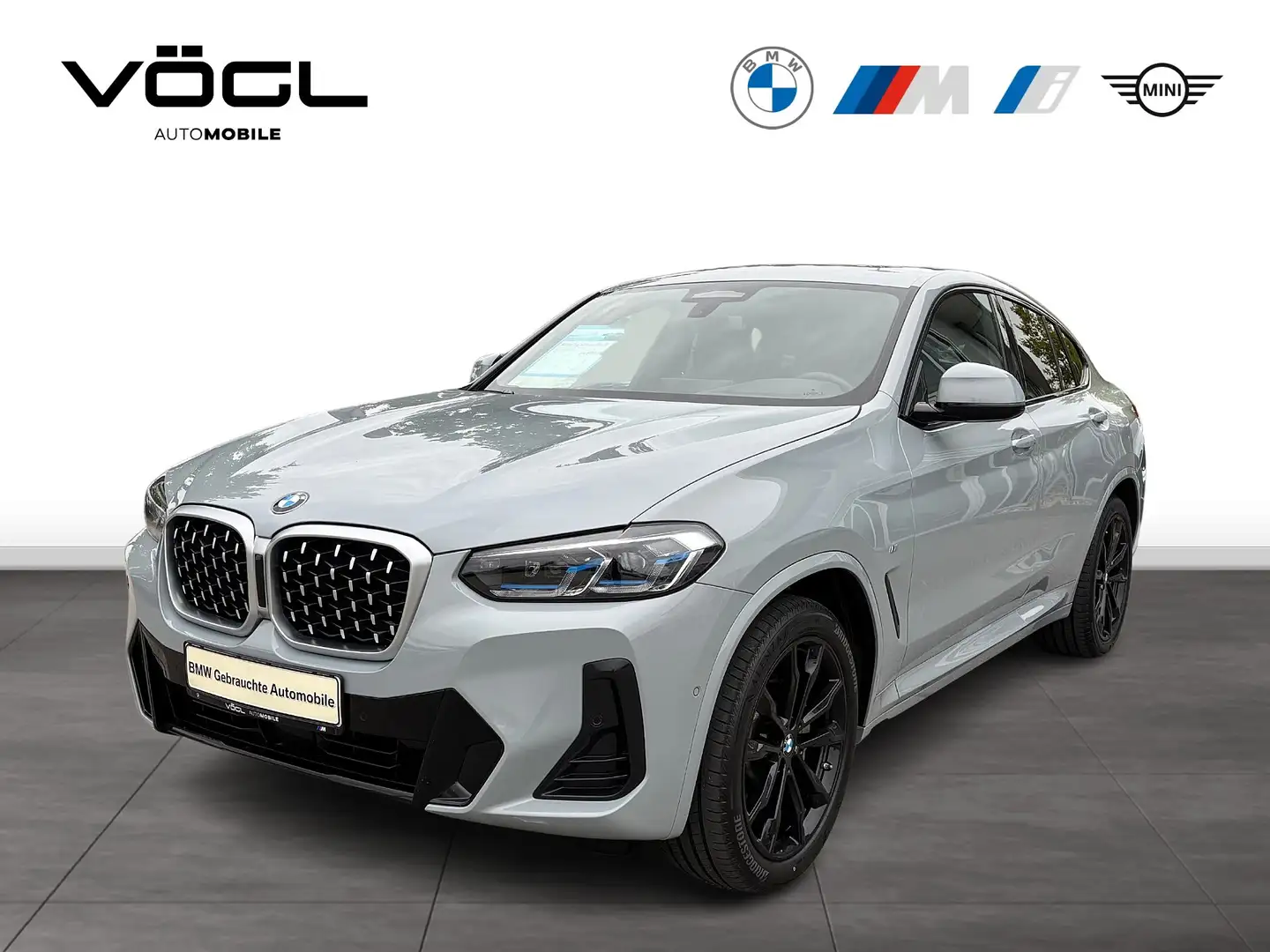 BMW X4 xDrive30d M Sportpaket Panoramadach Standheizung A Grau - 1