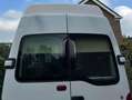 Renault Master Master TDI Bianco - thumbnail 2