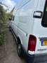 Renault Master Master TDI Bianco - thumbnail 15
