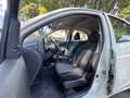 Nissan Micra 1.2 Acenta eco Gpl E6 FRIZIONE NUOVA + TAGLIANDO ! Bianco - thumbnail 11