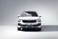 Skoda Kamiq Drive 1,0 TSI DSG Klima SHZ Temp ViCo PDC LED S... - thumbnail 1