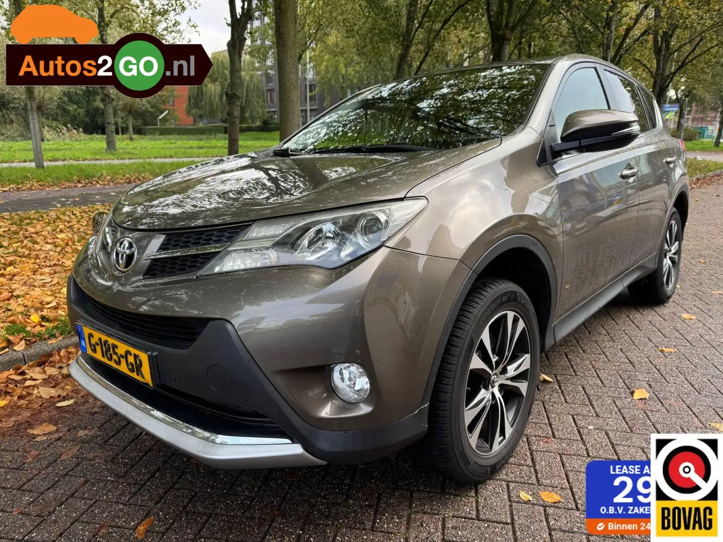 Toyota RAV 4 2.0 Executive Business 4WD Bruin - 1