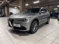 Alfa Romeo Stelvio Stelvio 2.2 Turbodiesel 190 CV AT8 Q4 Business Grau - thumbnail 1