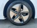 Hyundai IONIQ 1,6 GDI Premium-Paket Voll-Hybrid Weiß - thumbnail 19