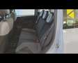 Fiat New Panda 1.0 FireFly Hybrid Gris - thumbnail 18