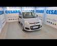 Fiat New Panda 1.0 FireFly Hybrid Gris - thumbnail 1