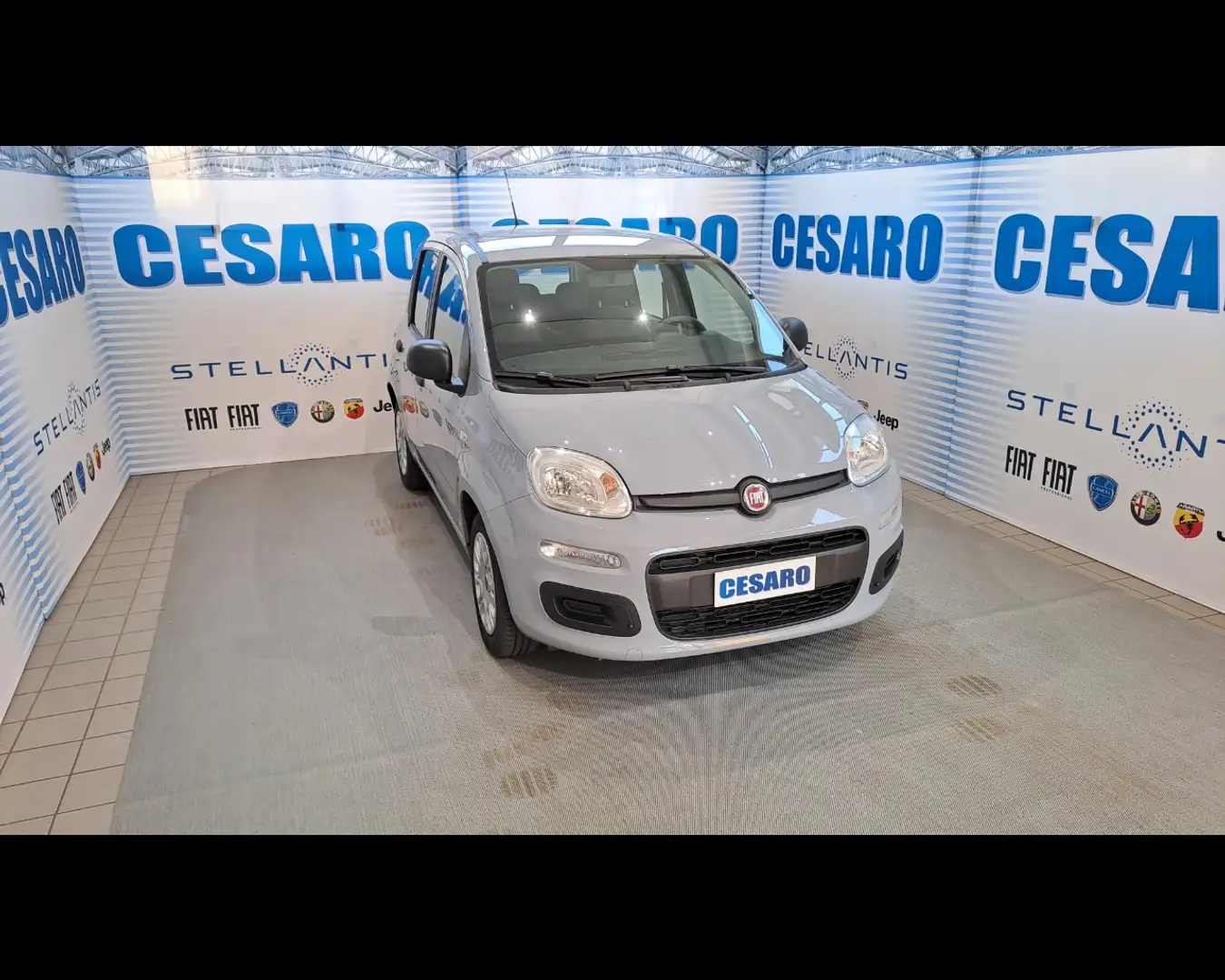 Fiat New Panda 1.0 FireFly Hybrid Gris - 1