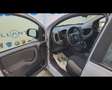 Fiat New Panda 1.0 FireFly Hybrid Gris - thumbnail 5