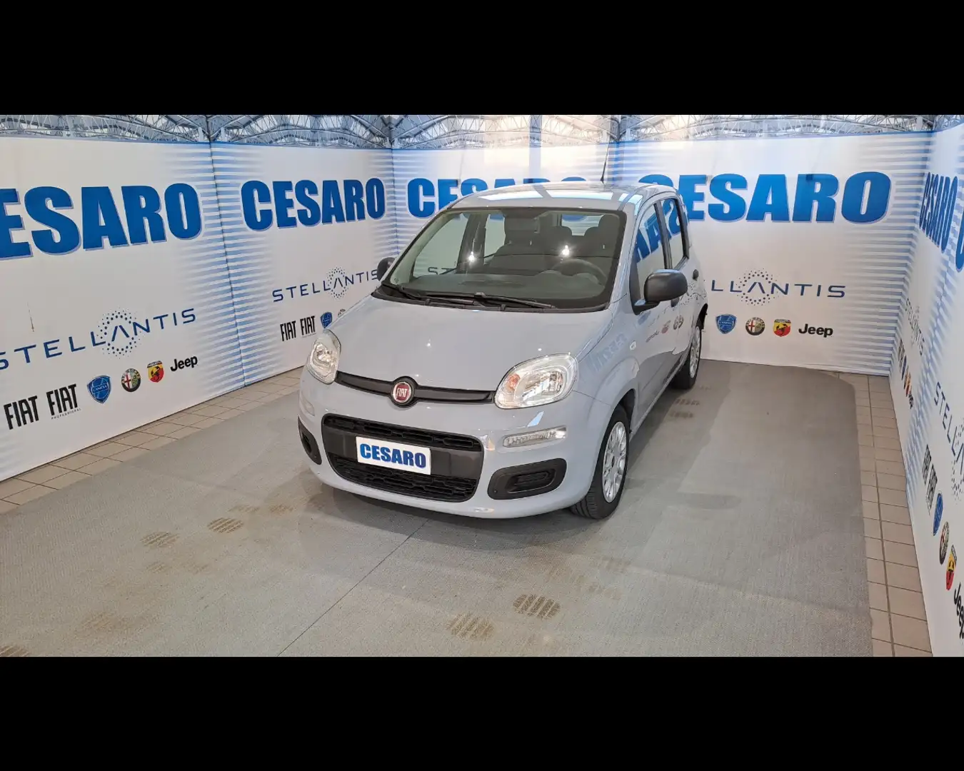 Fiat New Panda 1.0 FireFly Hybrid Gris - 2