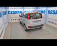 Fiat New Panda 1.0 FireFly Hybrid Gris - thumbnail 4