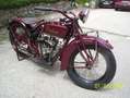 Indian Scout Rot - thumbnail 2